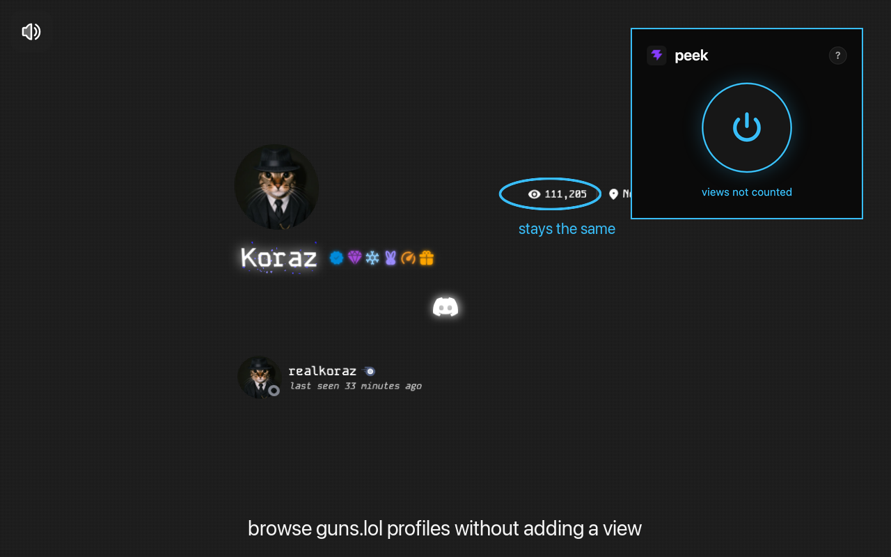 A guns.lol profile viewed with peek, the view counter unchanged